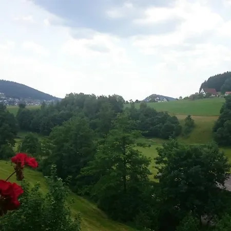 Apartment Schwarzwaldtraum