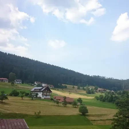 Apartment Schwarzwaldtraum *
