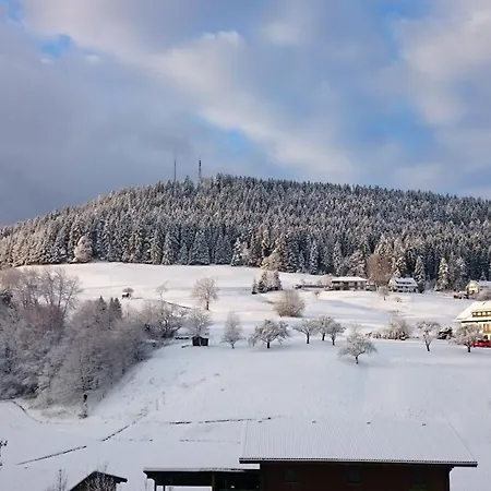 Schwarzwaldtraum