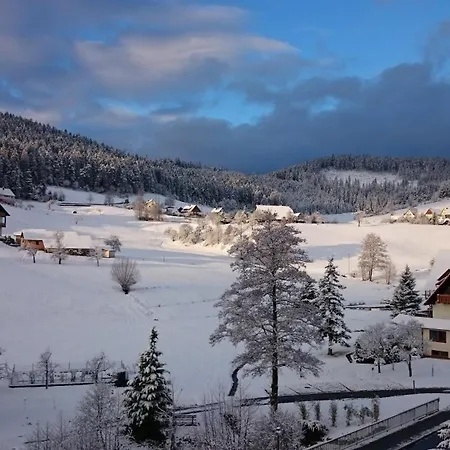 Apartment Schwarzwaldtraum Baiersbronn