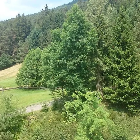 Schwarzwaldtraum *