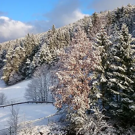 Apartamento Schwarzwaldtraum Baiersbronn